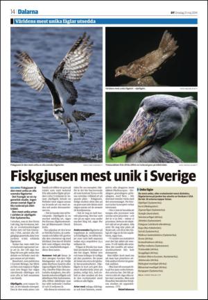 nyaludvikatidning_seksjon-20140521_000_00_00_014.pdf