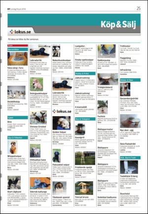 nyaludvikatidning_seksjon-20140614_000_00_00_025.pdf