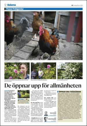nyaludvikatidning_seksjon-20140628_000_00_00_012.pdf
