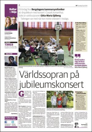 nyaludvikatidning_seksjon-20140710_000_00_00_004.pdf