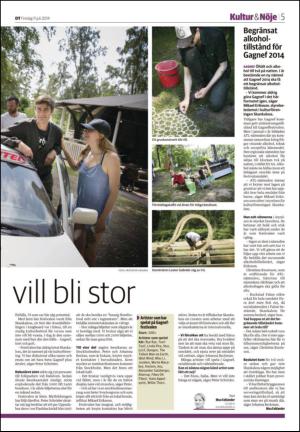 nyaludvikatidning_seksjon-20140711_000_00_00_005.pdf