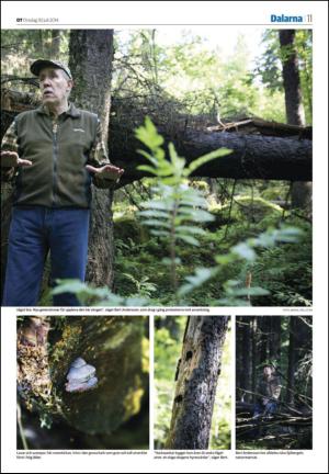 nyaludvikatidning_seksjon-20140730_000_00_00_011.pdf