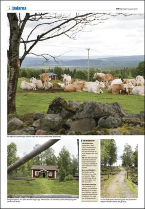 nyaludvikatidning_seksjon-20140811_000_00_00_012.pdf