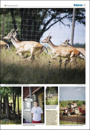 nyaludvikatidning_seksjon-20140821_000_00_00_017.pdf