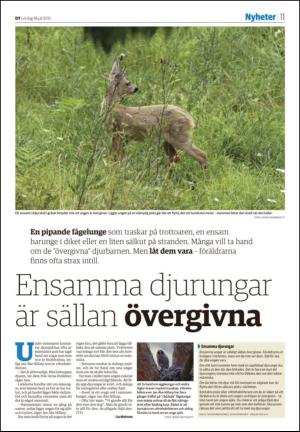 nyaludvikatidning_seksjon-20150718_000_00_00_011.pdf