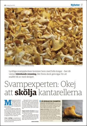 nyaludvikatidning_seksjon-20150725_000_00_00_017.pdf