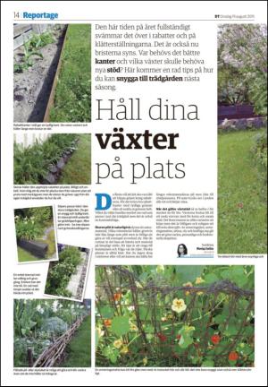 nyaludvikatidning_seksjon-20150819_000_00_00_014.pdf