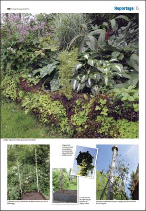 nyaludvikatidning_seksjon-20150819_000_00_00_015.pdf