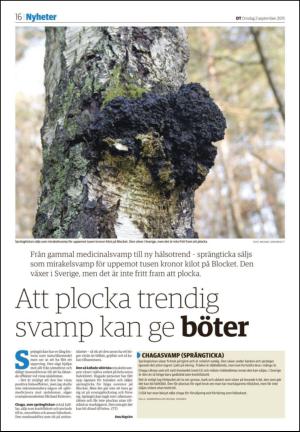 nyaludvikatidning_seksjon-20150902_000_00_00_016.pdf
