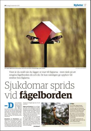 nyaludvikatidning_seksjon-20150925_000_00_00_017.pdf