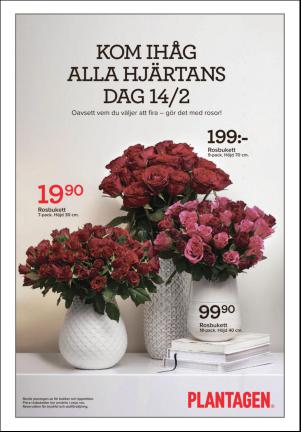 nyaludvikatidning_seksjon-20160212_000_00_00_011.pdf