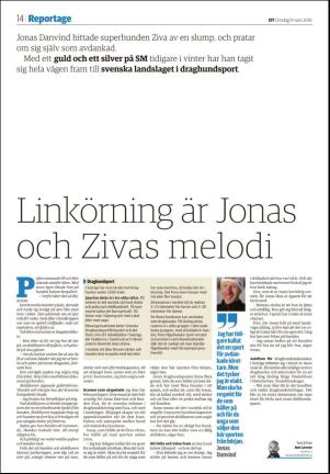 nyaludvikatidning_seksjon-20160309_000_00_00_014.pdf