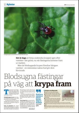 nyaludvikatidning_seksjon-20160404_000_00_00_012.pdf