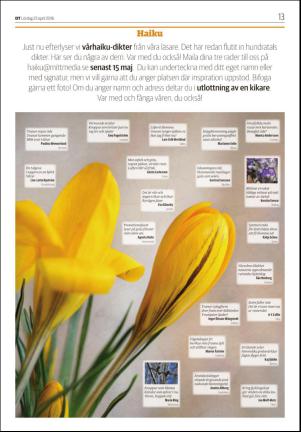 nyaludvikatidning_seksjon-20160423_000_00_00_013.pdf