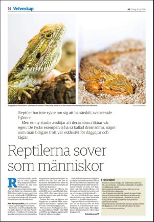 nyaludvikatidning_seksjon-20160503_000_00_00_014.pdf