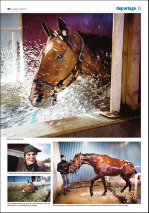 nyaludvikatidning_seksjon-20160511_000_00_00_015.pdf