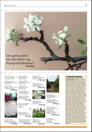 nyaludvikatidning_seksjon-20160518_000_00_00_013.pdf