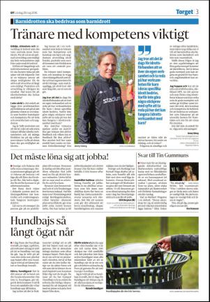 nyaludvikatidning_seksjon-20160528_000_00_00_003.pdf
