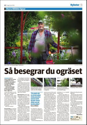 nyaludvikatidning_seksjon-20160712_000_00_00_013.pdf