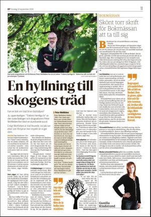 nyaludvikatidning_seksjon-20160922_000_00_00_011.pdf