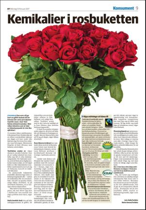 nyaludvikatidning_seksjon-20170213_000_00_00_009.pdf