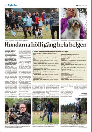 nyaludvikatidning_seksjon-20170509_000_00_00_014.pdf