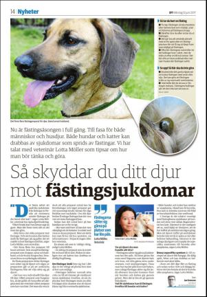 nyaludvikatidning_seksjon-20170612_000_00_00_014.pdf