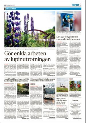 nyaludvikatidning_seksjon-20170719_000_00_00_003.pdf