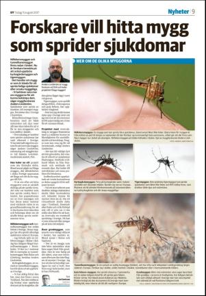 nyaludvikatidning_seksjon-20170815_000_00_00_009.pdf