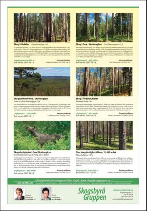 nyaludvikatidning_seksjon-20170819_000_00_00_021.pdf
