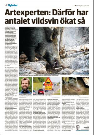 nyaludvikatidning_seksjon-20170828_000_00_00_014.pdf