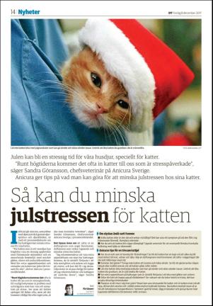 nyaludvikatidning_seksjon-20171208_000_00_00_014.pdf