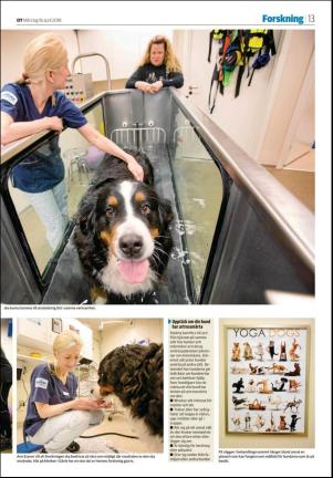 nyaludvikatidning_seksjon-20180416_000_00_00_013.pdf