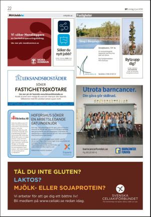 nyaludvikatidning_seksjon-20180602_000_00_00_022.pdf