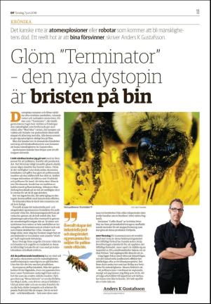 nyaludvikatidning_seksjon-20180607_000_00_00_011.pdf