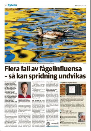 nyaludvikatidning_seksjon-20180619_000_00_00_014.pdf