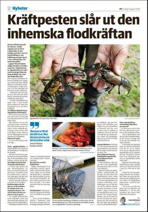 nyaludvikatidning_seksjon-20180803_000_00_00_012.pdf