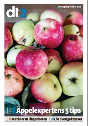 nyaludvikatidning_seksjon-20180901_000_00_00.pdf
