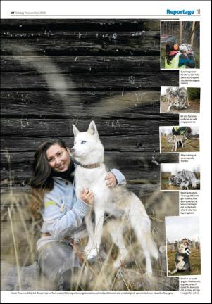 nyaludvikatidning_seksjon-20181114_000_00_00_011.pdf