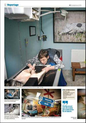 nyaludvikatidning_seksjon-20190109_000_00_00_012.pdf