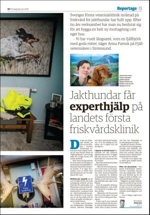 nyaludvikatidning_seksjon-20190109_000_00_00_013.pdf