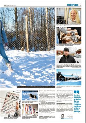 nyaludvikatidning_seksjon-20190115_000_00_00_013.pdf