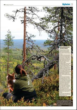 nyaludvikatidning_seksjon-20190531_000_00_00_013.pdf