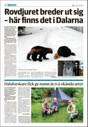 nyaludvikatidning_seksjon-20190531_000_00_00_014.pdf