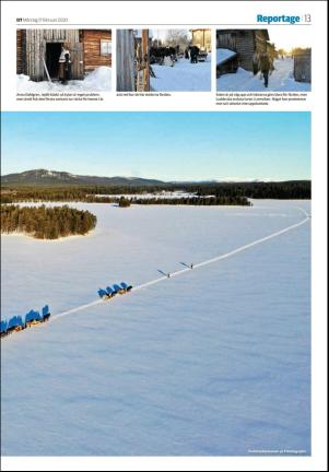 nyaludvikatidning_seksjon-20200217_000_00_00_013.pdf
