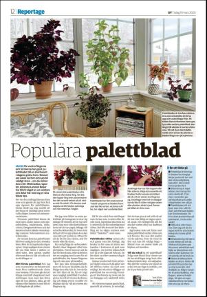 nyaludvikatidning_seksjon-20200310_000_00_00_012.pdf