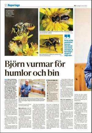 nyaludvikatidning_seksjon-20200312_000_00_00_012.pdf