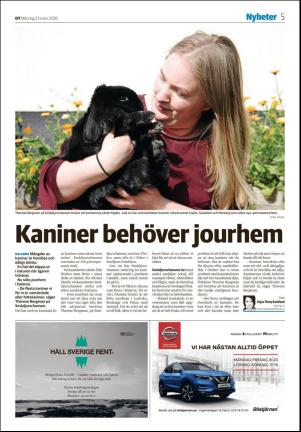 nyaludvikatidning_seksjon-20200323_000_00_00_005.pdf