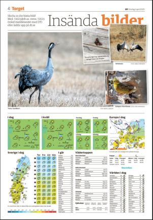 nyaludvikatidning_seksjon-20200401_000_00_00_004.pdf