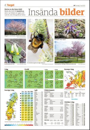 nyaludvikatidning_seksjon-20200507_000_00_00_004.pdf
